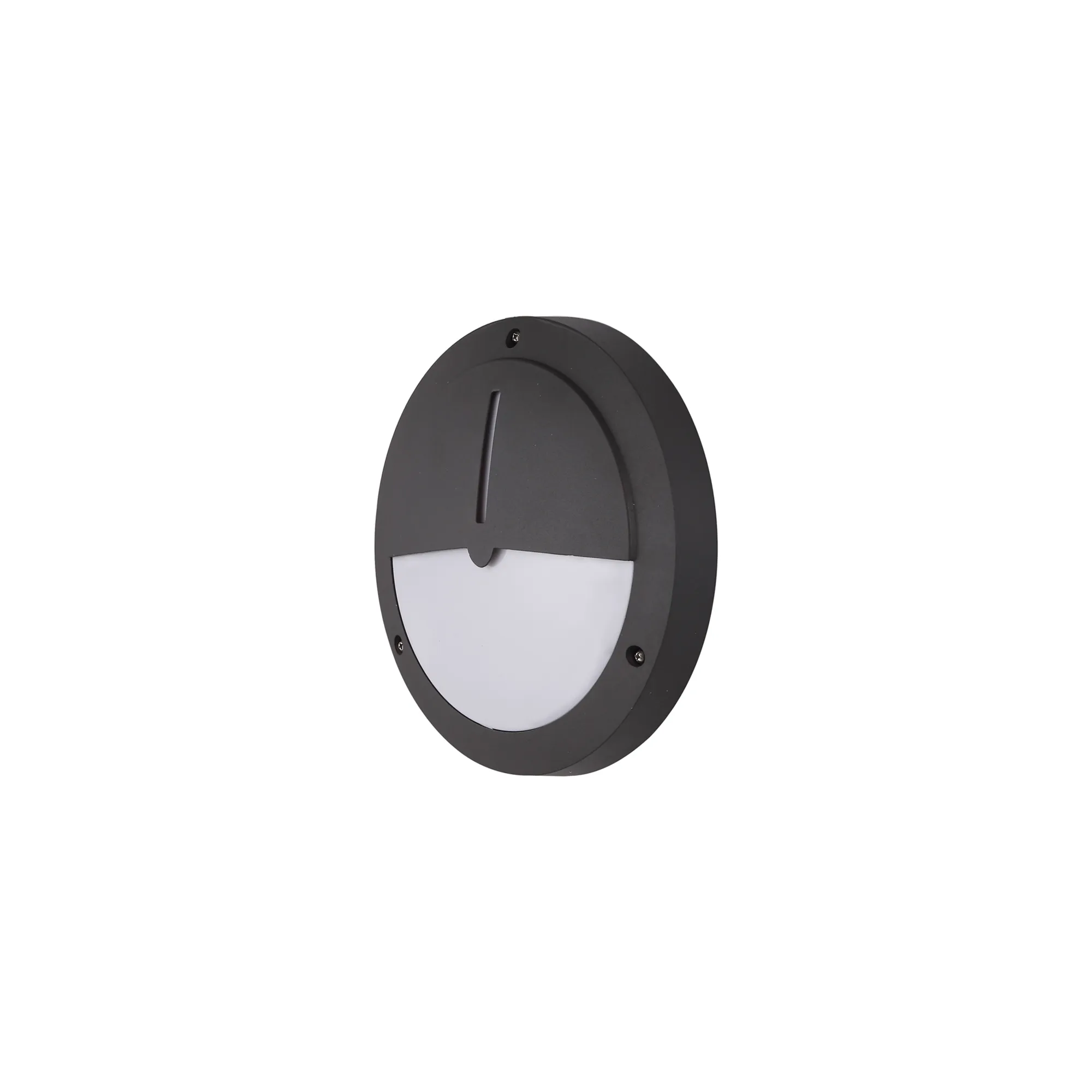 D0469  Daru Eyelid Wall Lamp 1 Light IP54 Anthracite